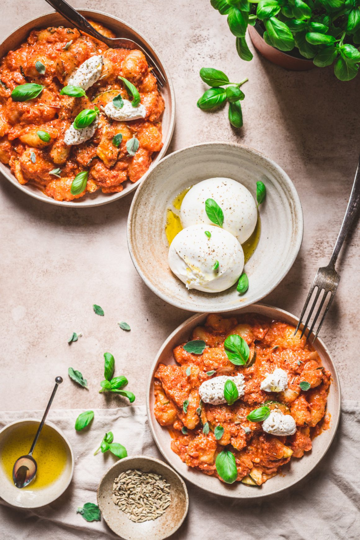 snelle gnocchi met ricotta en venkelzaadjes