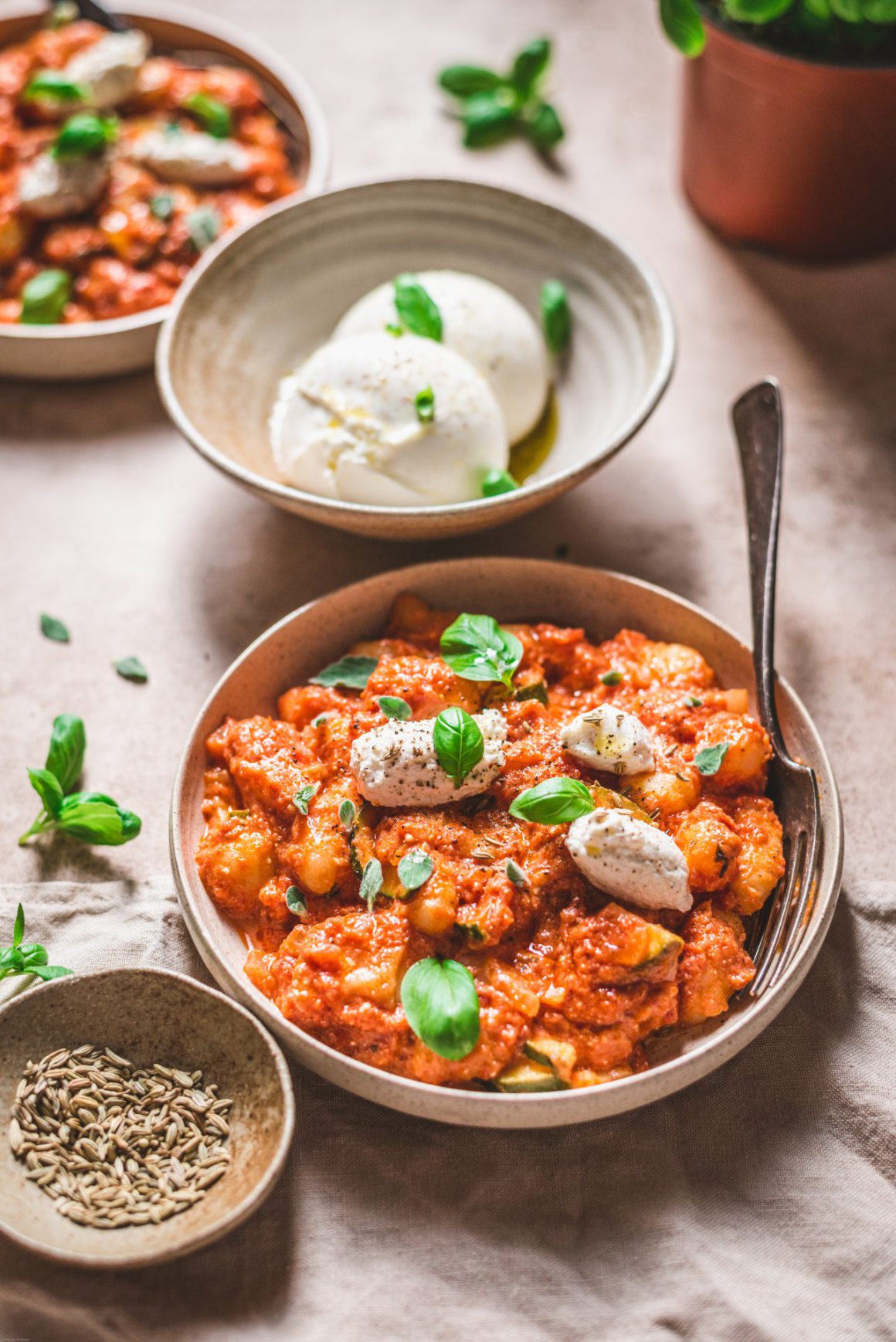 snelle gnocchi met ricotta en venkelzaadjes